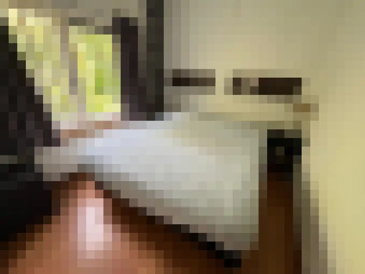 Heesterlustweg 7 Noordgouwe thumbnail 9