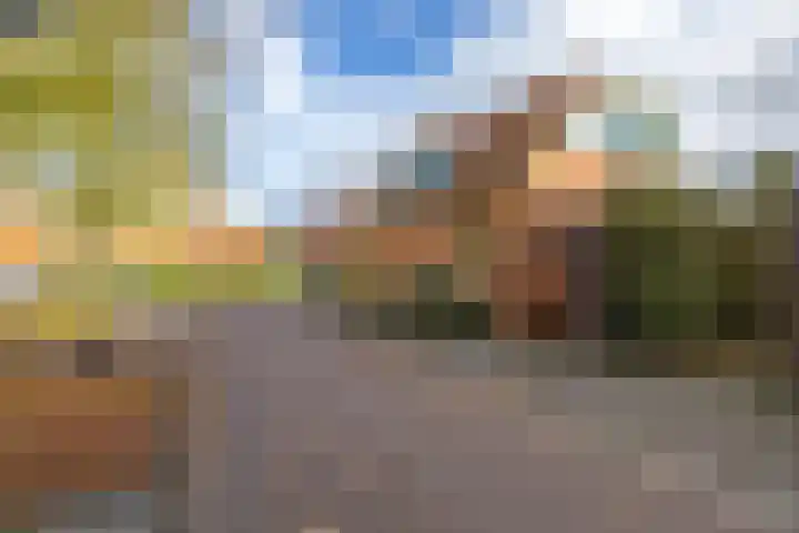 Heesterpoort 3 Groningen thumbnail 11