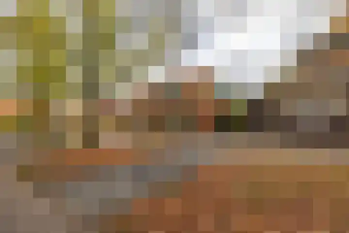 Heesterpoort 3 Groningen thumbnail 26