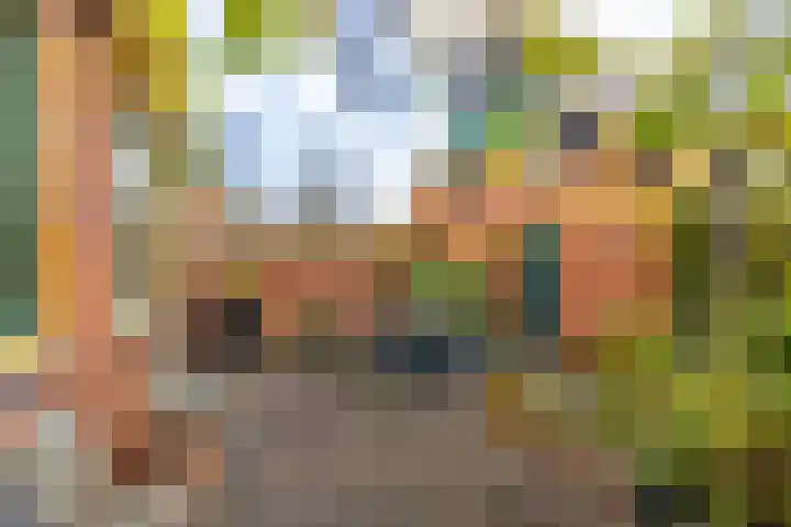 Heesterpoort 3 Groningen thumbnail 7