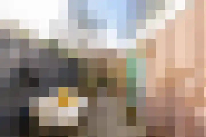 Heesterpoort 9 Groningen thumbnail 23