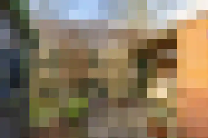 Heesterpoort 9 Groningen thumbnail 24