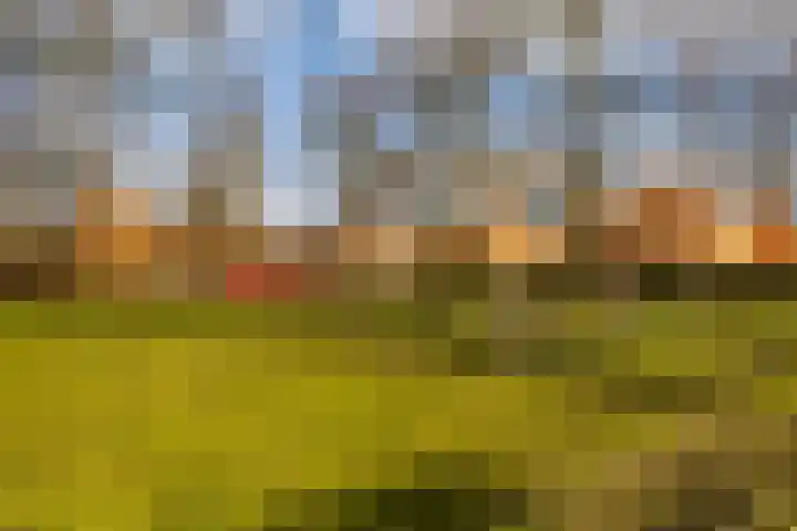 Heesterpoort 9 Groningen thumbnail 38