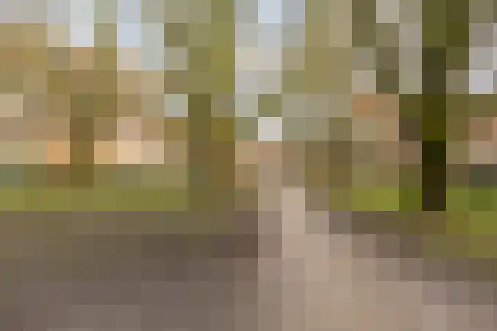 Heesterpoort 9 Groningen thumbnail 39