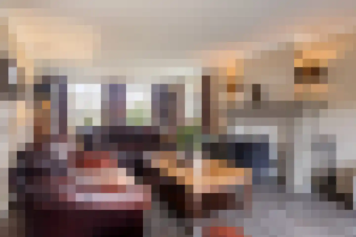 Heesterseweg 27 Geffen thumbnail 13