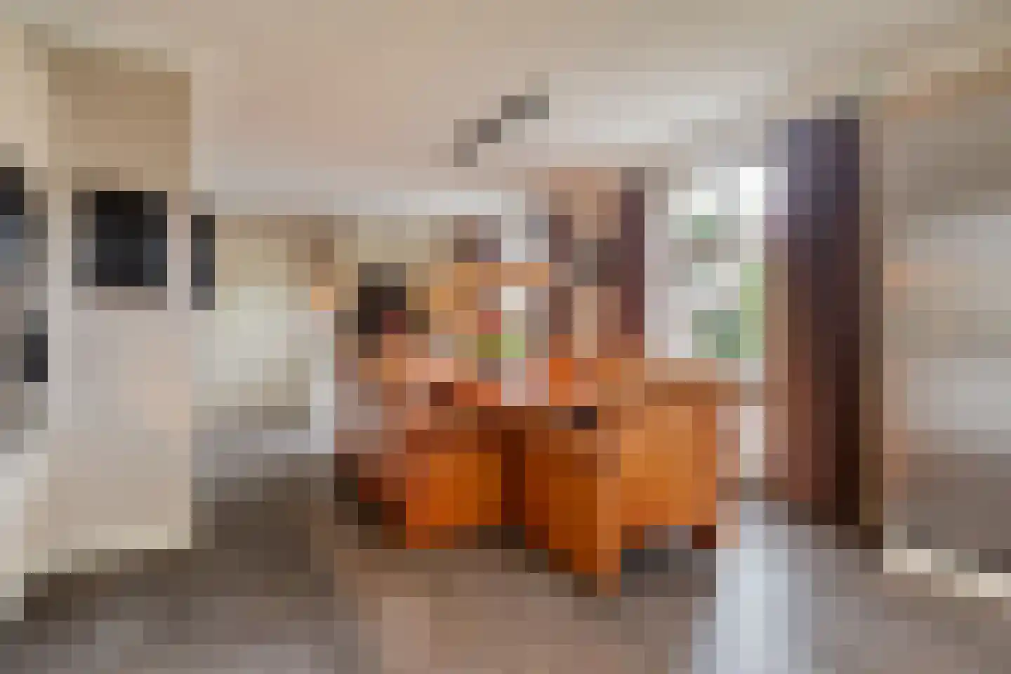 Heesterseweg 27 Geffen thumbnail 21