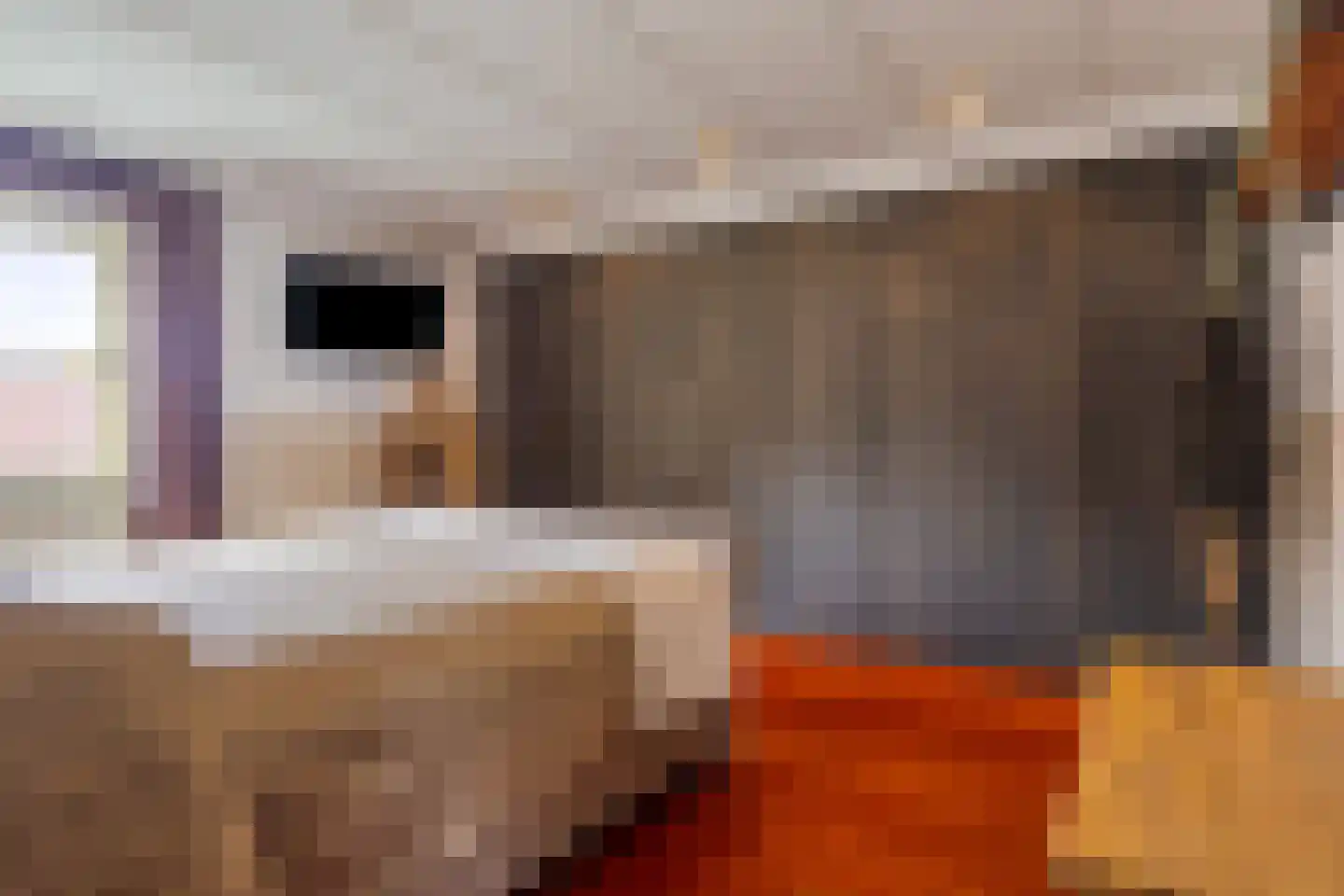 Heesterseweg 27 Geffen thumbnail 28