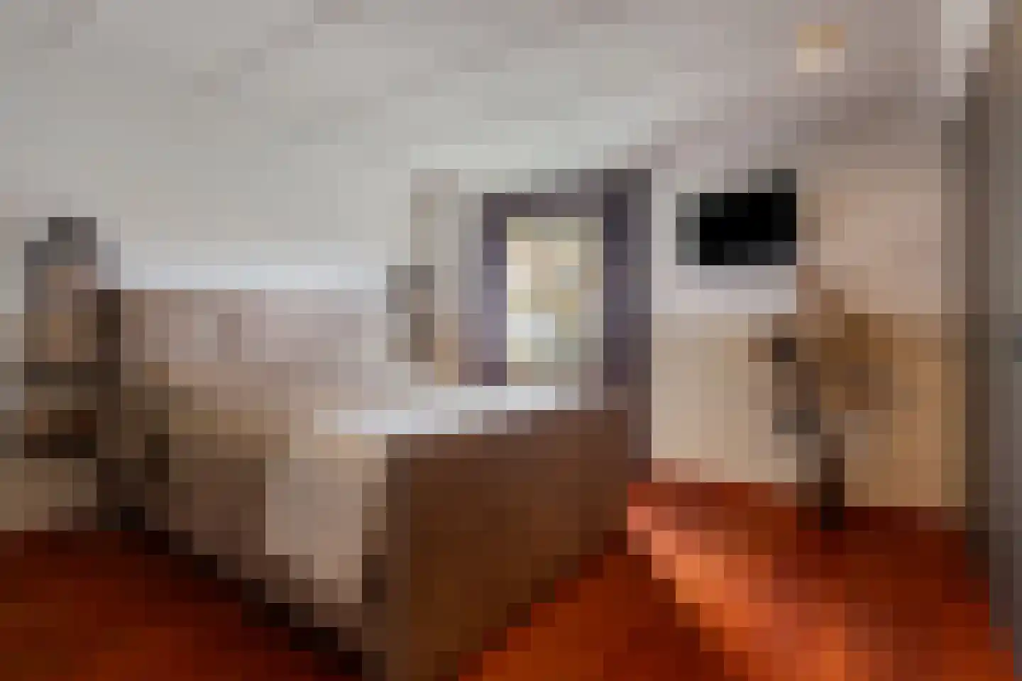Heesterseweg 27 Geffen thumbnail 29