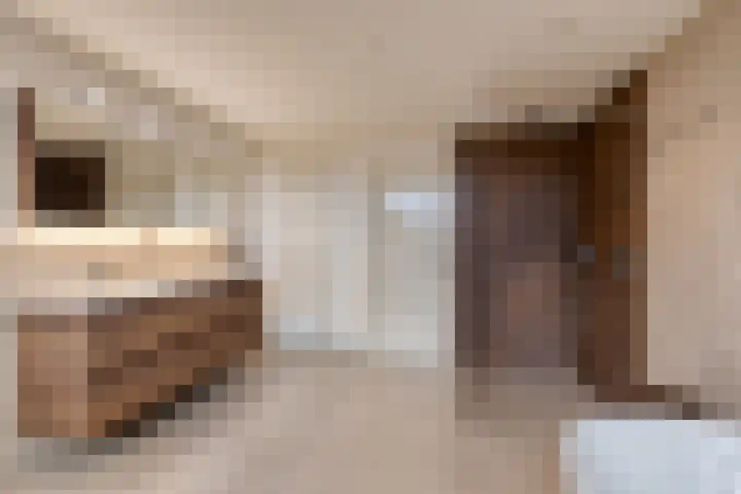 Heesterseweg 27 Geffen thumbnail 31