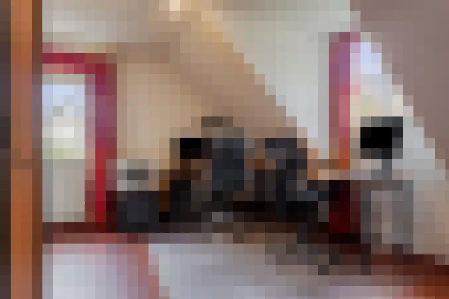 Heesterseweg 27 Geffen thumbnail 34