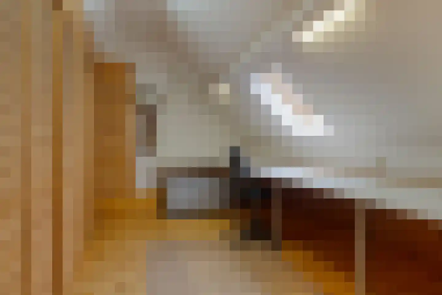 Heesterseweg 27 Geffen thumbnail 38
