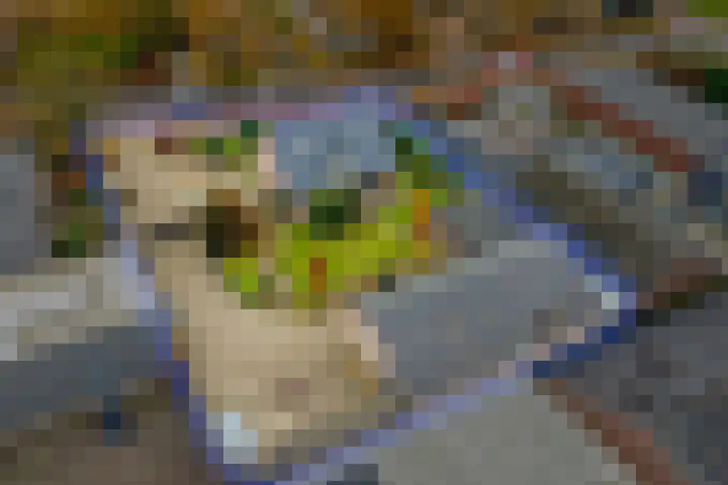 Heesterseweg 27 Geffen thumbnail 4