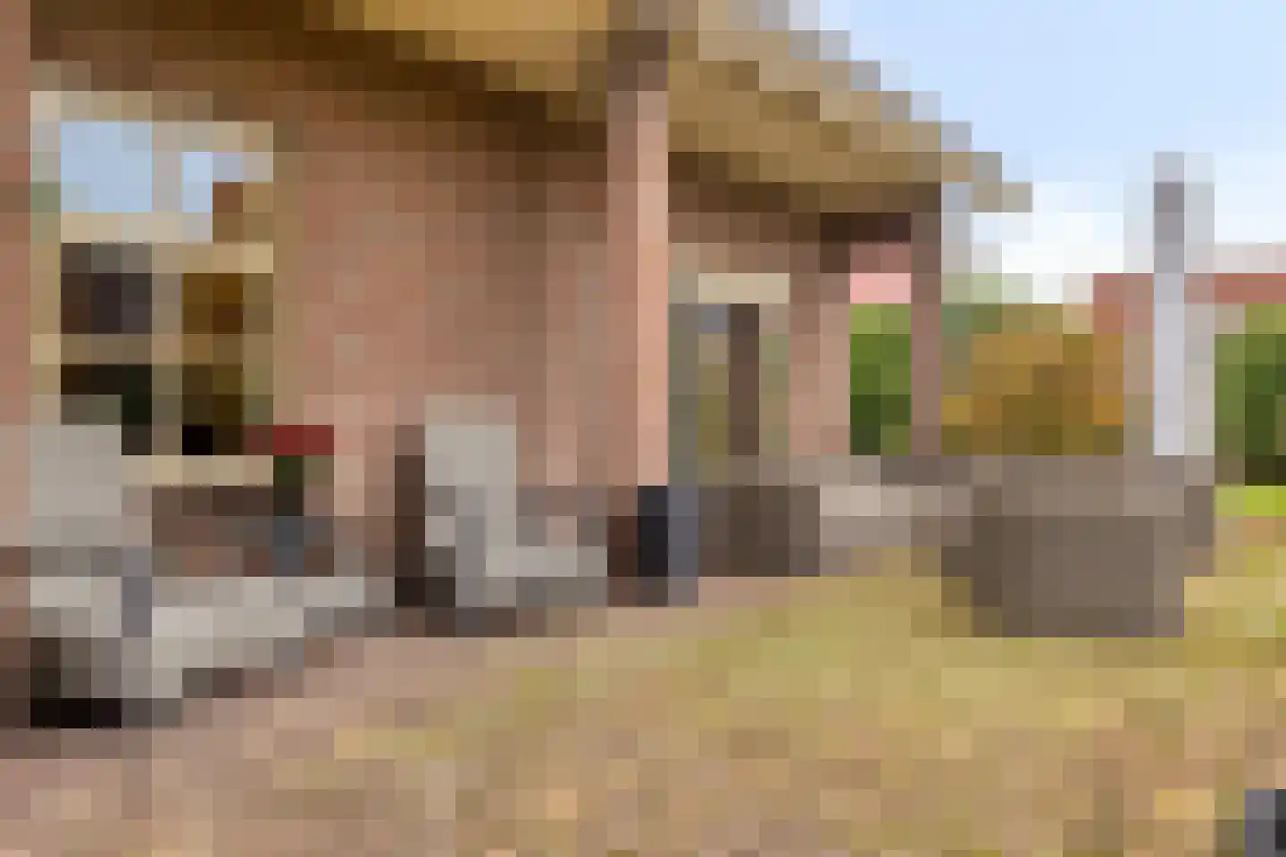 Heesterseweg 27 Geffen thumbnail 43
