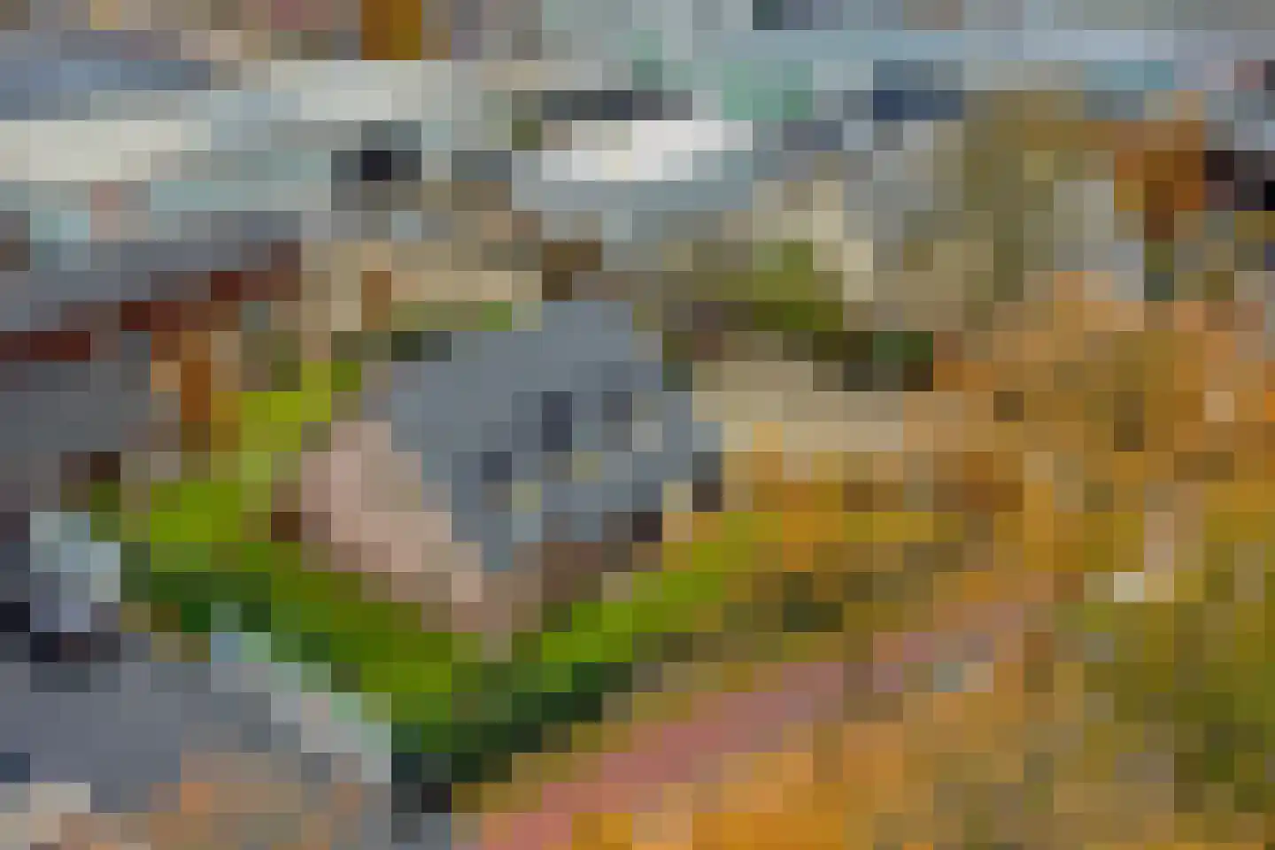 Heesterseweg 27 Geffen thumbnail 61