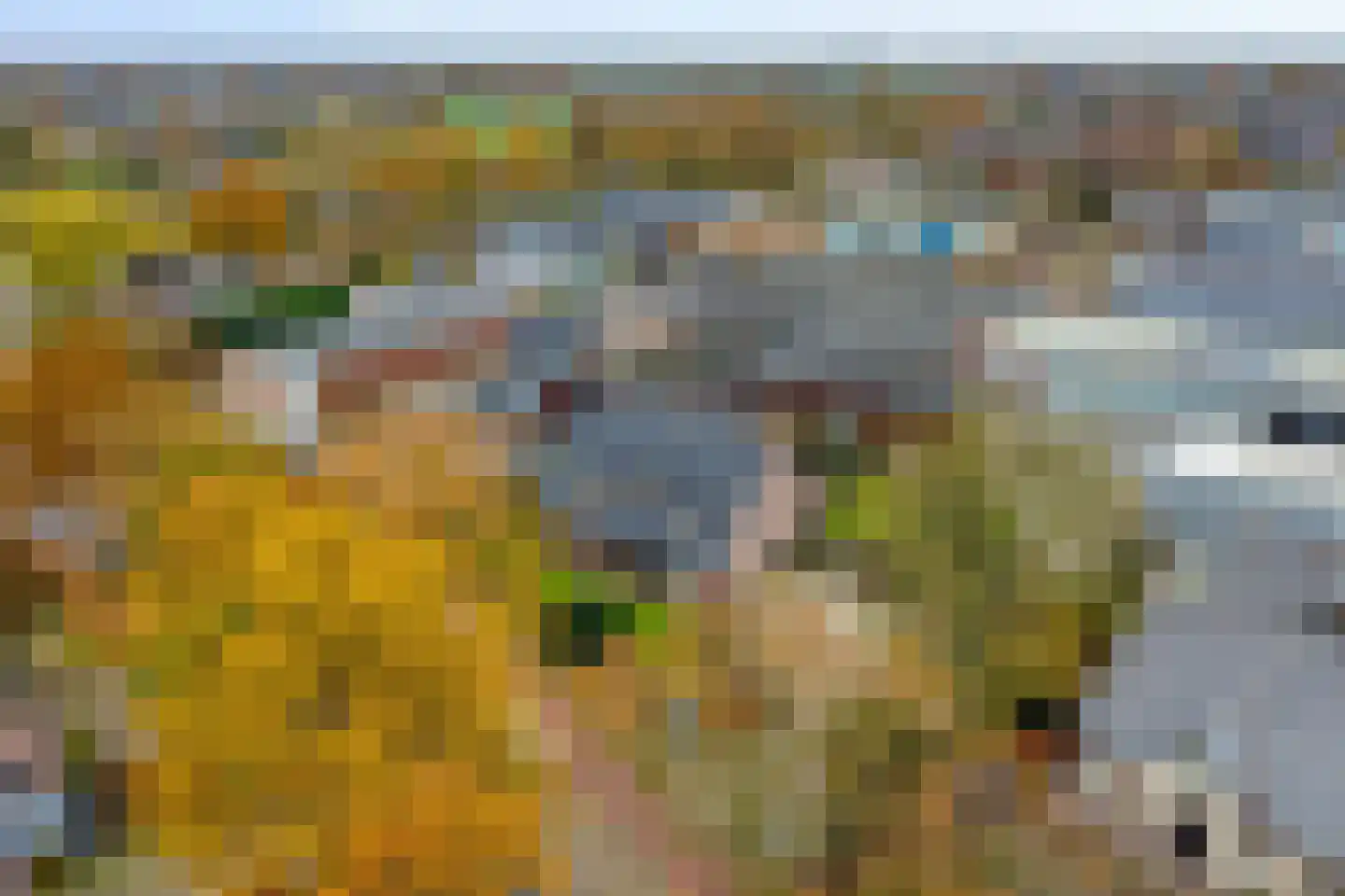 Heesterseweg 27 Geffen thumbnail 62