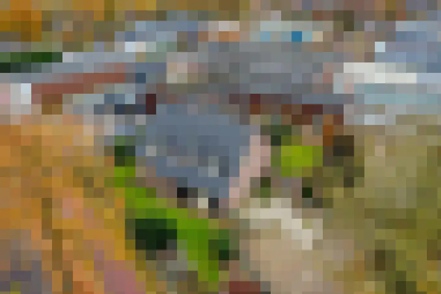 Heesterseweg 27 Geffen thumbnail 63