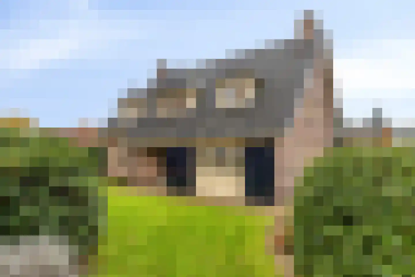 Heesterseweg 27 Geffen thumbnail 9