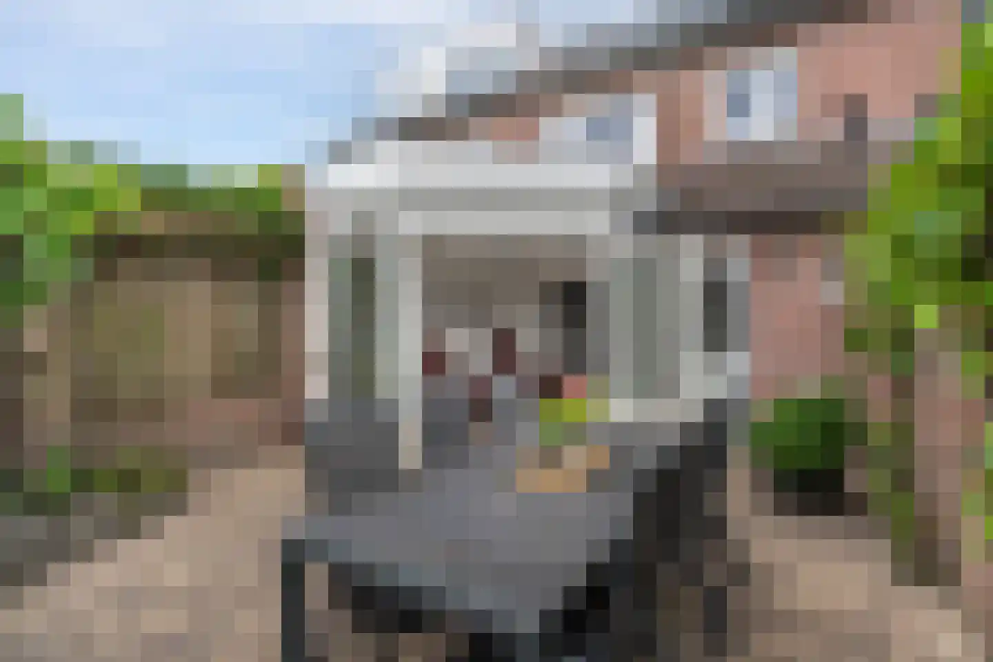 Heesterveld 16 Sint-Michielsgestel thumbnail 21