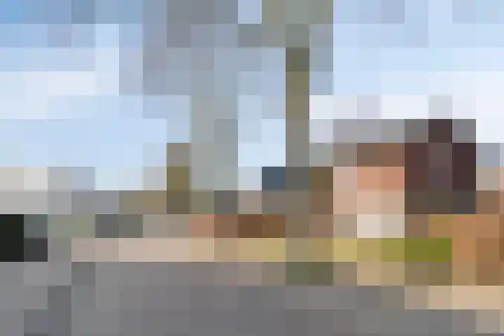 Heesvenstraat 5 Lierop thumbnail 10