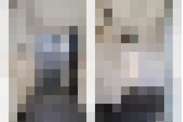 Heesvenstraat 5 Lierop thumbnail 11