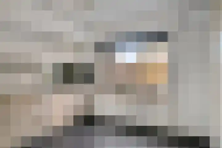 Heesvenstraat 5 Lierop thumbnail 14