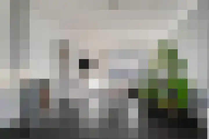 Heesvenstraat 5 Lierop thumbnail 16
