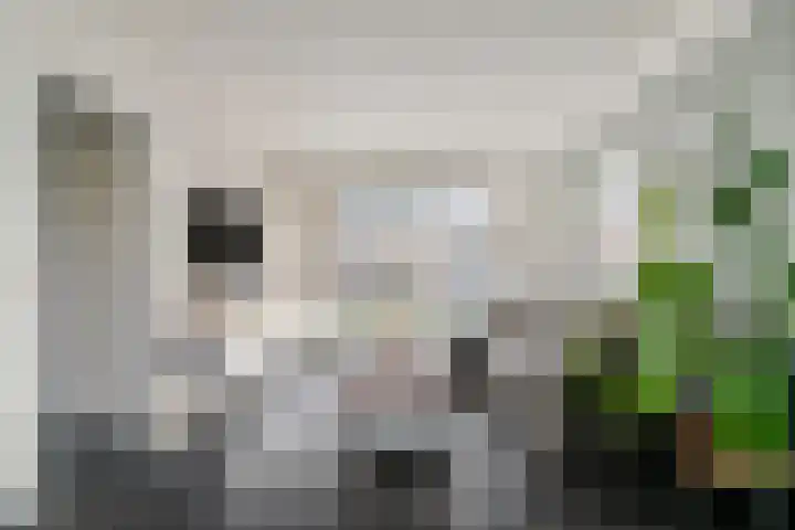Heesvenstraat 5 Lierop thumbnail 17