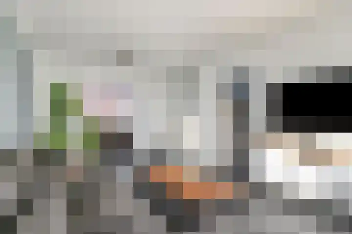 Heesvenstraat 5 Lierop thumbnail 18