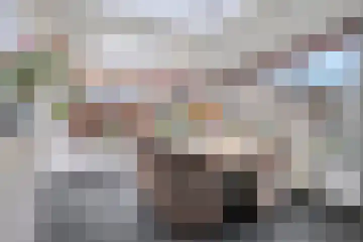 Heesvenstraat 5 Lierop thumbnail 21