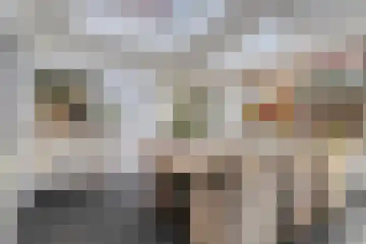 Heesvenstraat 5 Lierop thumbnail 22