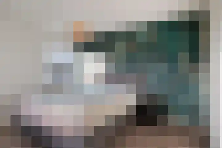 Heesvenstraat 5 Lierop thumbnail 27