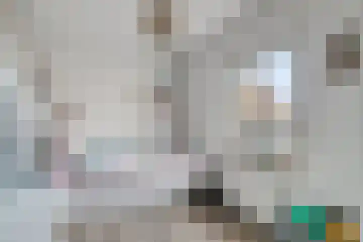 Heesvenstraat 5 Lierop thumbnail 29