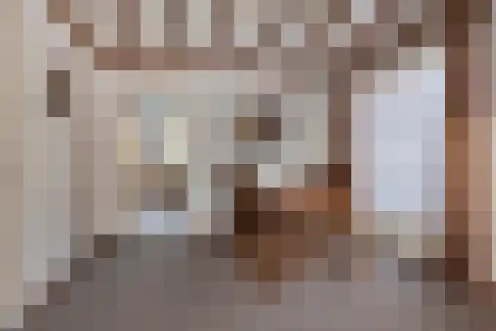 Heesweg 12 c Beek en Donk thumbnail 10