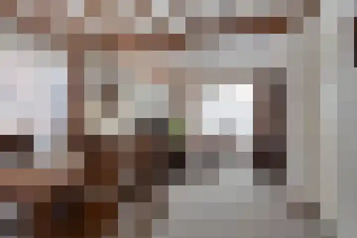 Heesweg 12 c Beek en Donk thumbnail 11