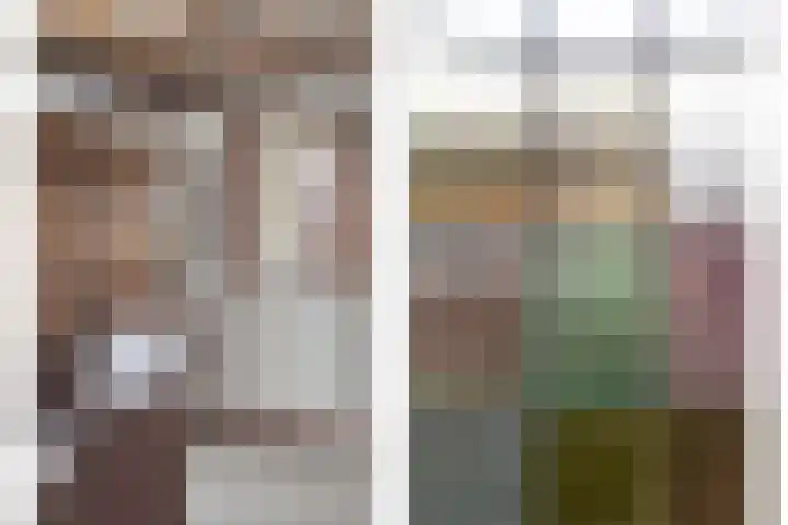 Heesweg 12 c Beek en Donk thumbnail 12