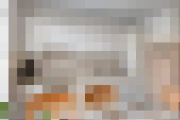 Heesweg 12 c Beek en Donk thumbnail 15