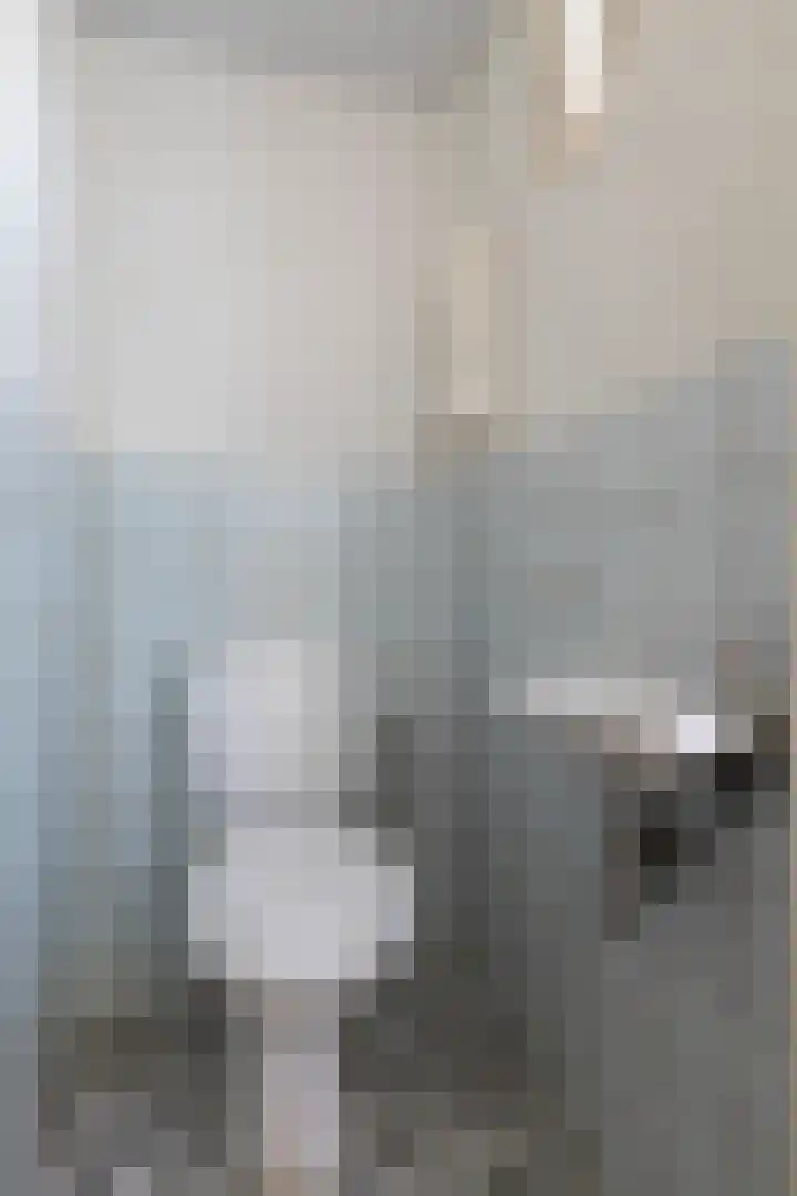 Heesweg 12 c Beek en Donk thumbnail 17