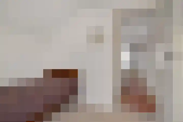 Heesweg 12 c Beek en Donk thumbnail 23