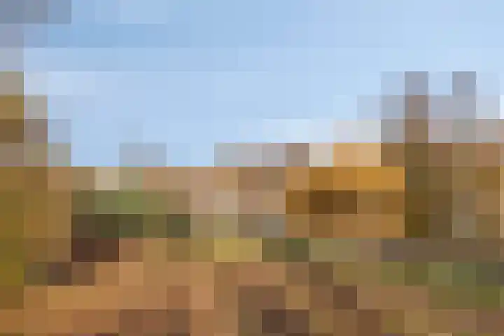 Heesweg 12 c Beek en Donk thumbnail 32