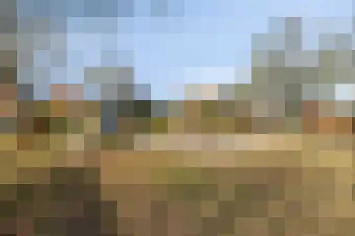 Heesweg 12 c Beek en Donk thumbnail 36