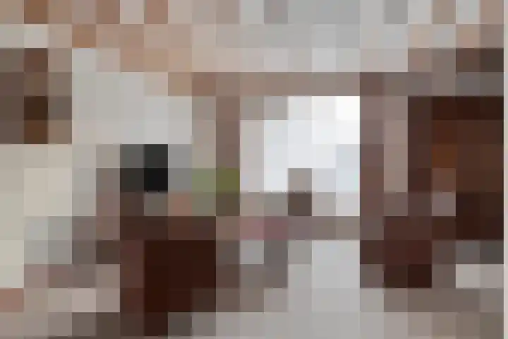 Heesweg 12 c Beek en Donk thumbnail 7