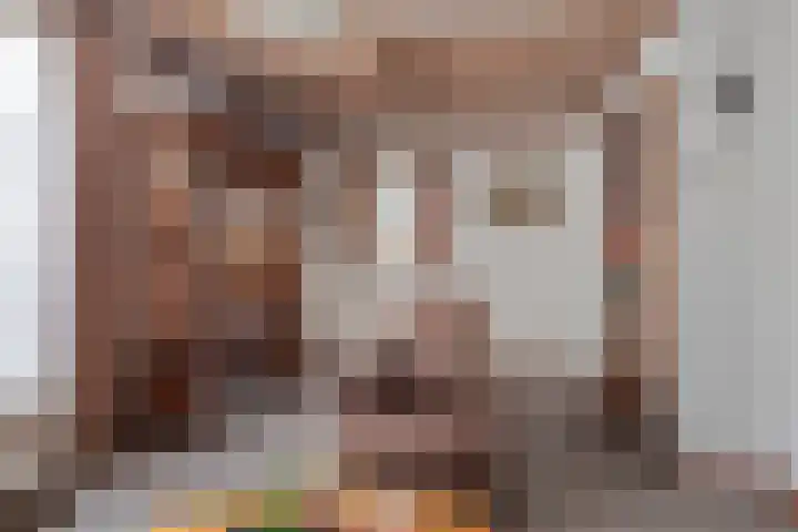 Heesweg 12 c Beek en Donk thumbnail 8