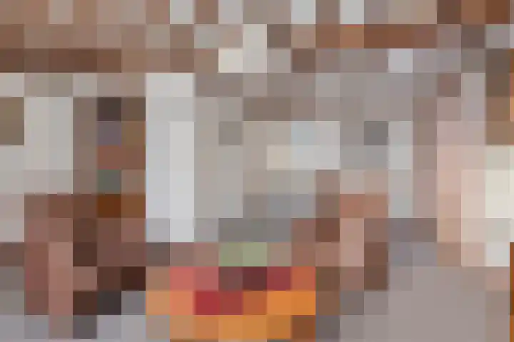 Heesweg 12 c Beek en Donk thumbnail 9