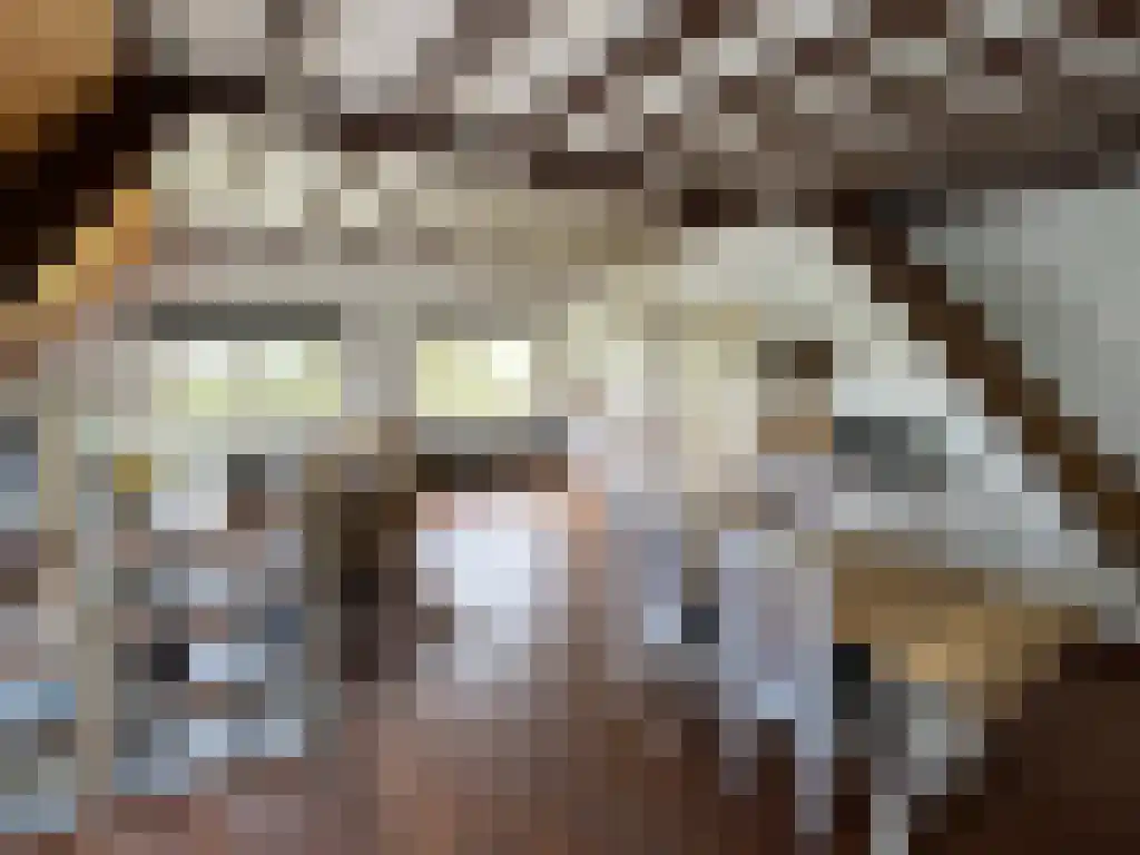 Heesweg 4 Didam thumbnail 6