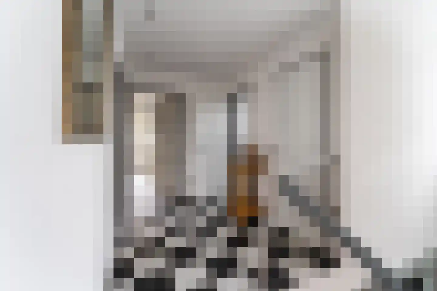 Heeswijk 12 Montfoort thumbnail 15