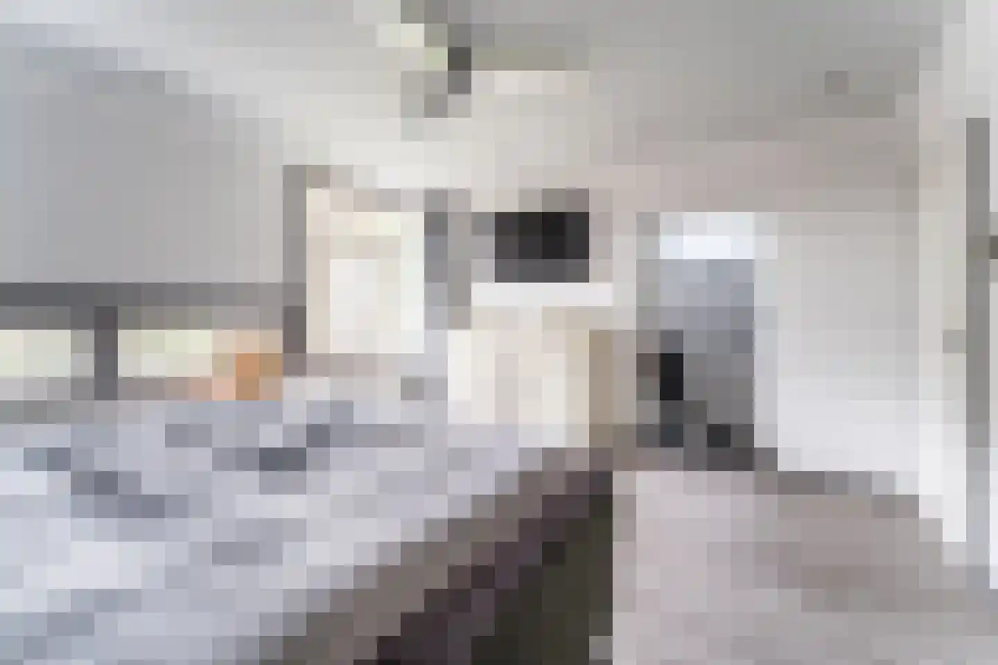 Heeswijk 12 Montfoort thumbnail 18