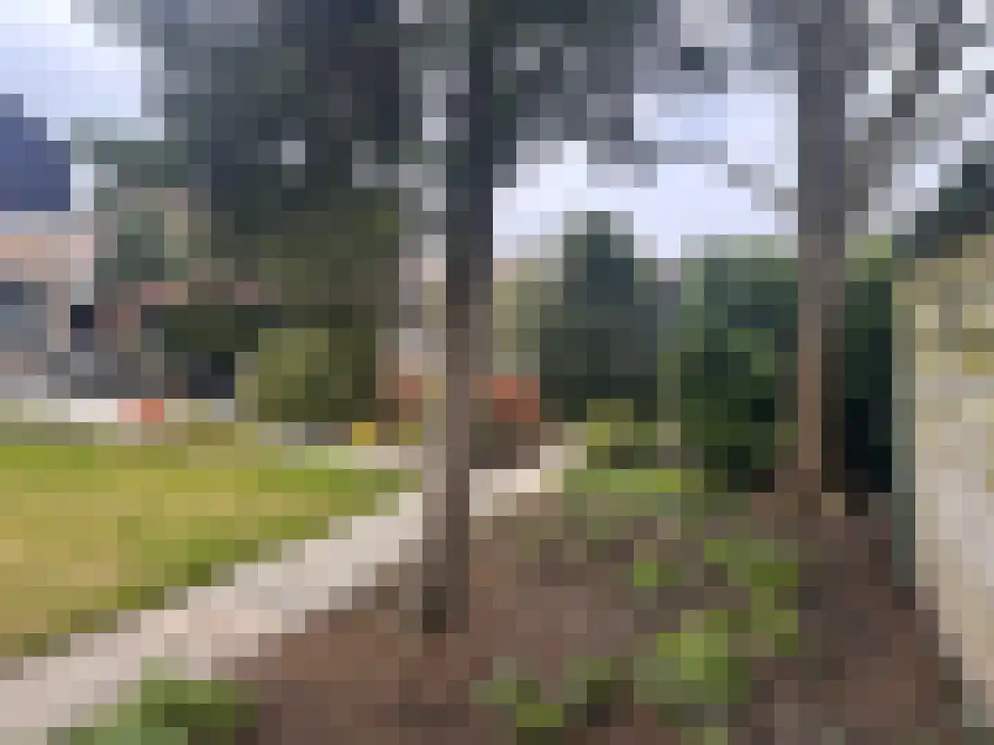 Heeswijk 12 Montfoort thumbnail 33