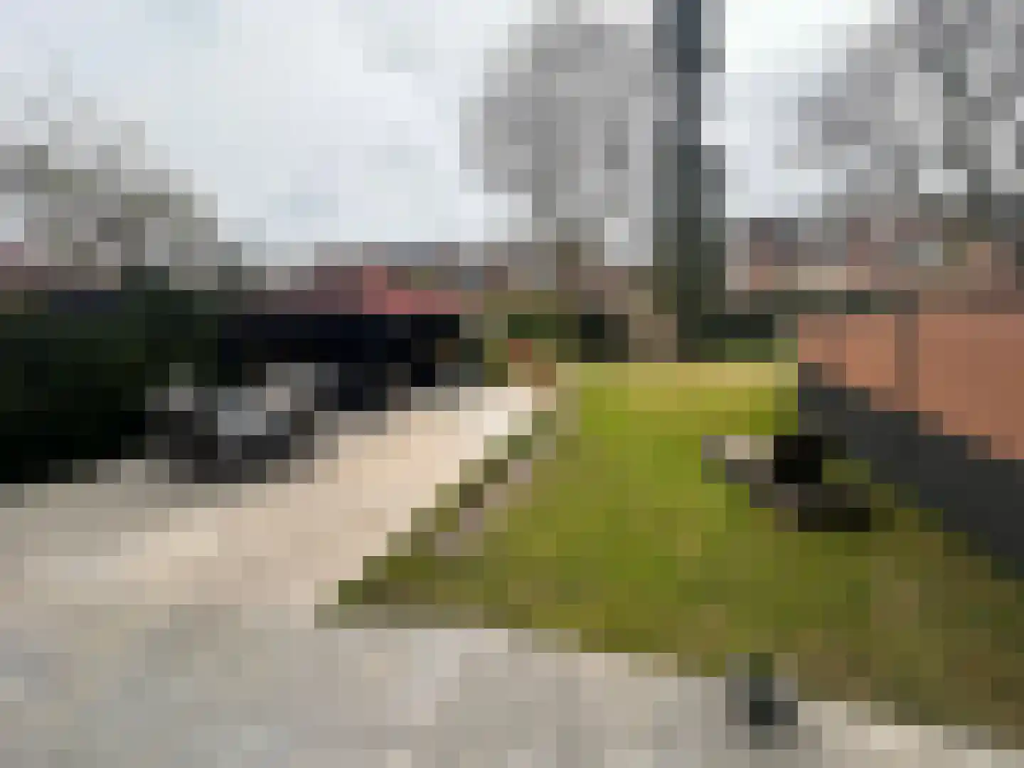 Heeswijk 12 Montfoort thumbnail 35