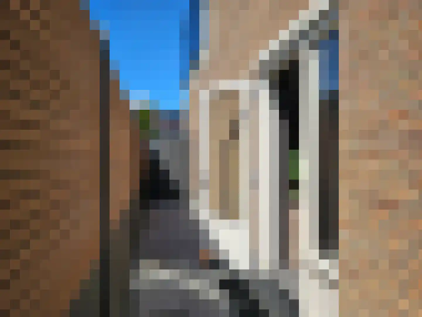 Heeswijk 12 Montfoort thumbnail 37