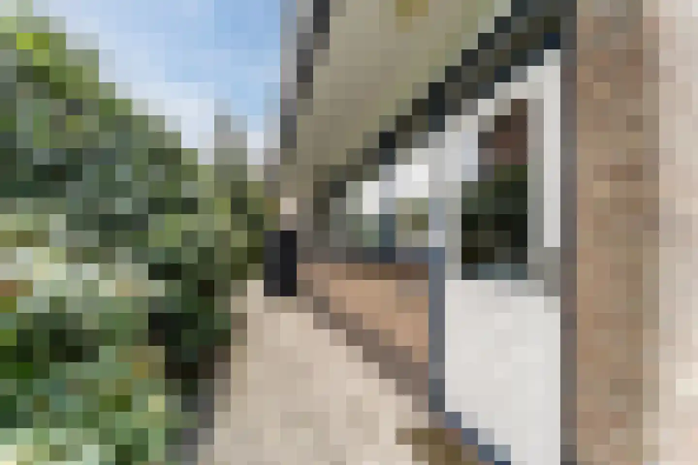 Heeswijk 12 Montfoort thumbnail 4